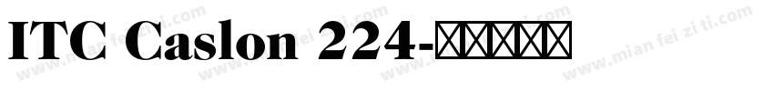 ITC Caslon 224字体转换